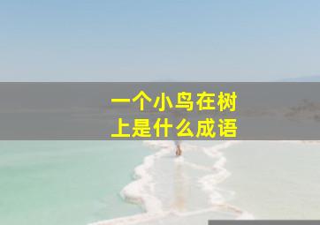 一个小鸟在树上是什么成语