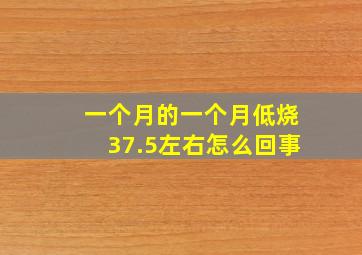 一个月的一个月低烧37.5左右怎么回事