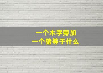 一个木字旁加一个猪等于什么