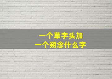 一个草字头加一个朔念什么字