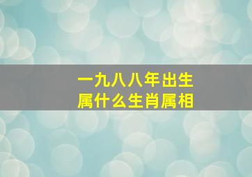 一九八八年出生属什么生肖属相