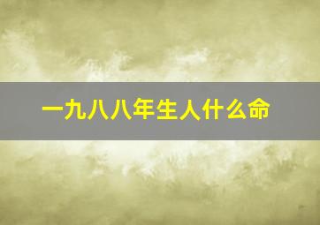 一九八八年生人什么命