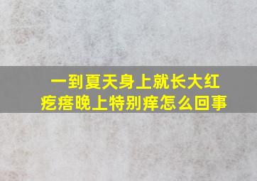 一到夏天身上就长大红疙瘩晚上特别痒怎么回事