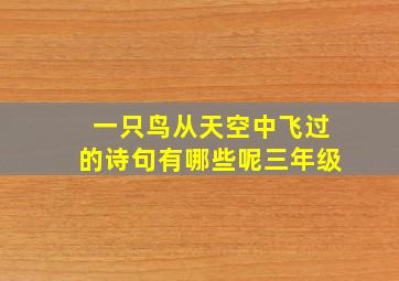 一只鸟从天空中飞过的诗句有哪些呢三年级