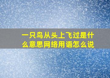 一只鸟从头上飞过是什么意思网络用语怎么说