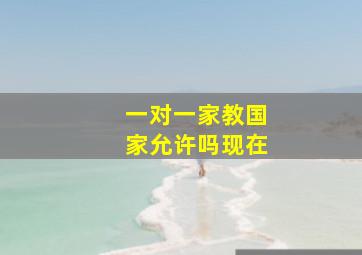 一对一家教国家允许吗现在