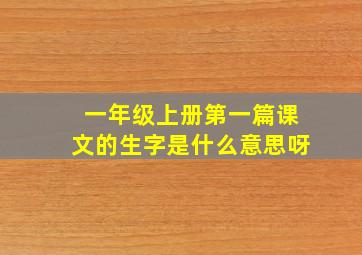 一年级上册第一篇课文的生字是什么意思呀