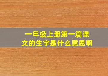 一年级上册第一篇课文的生字是什么意思啊