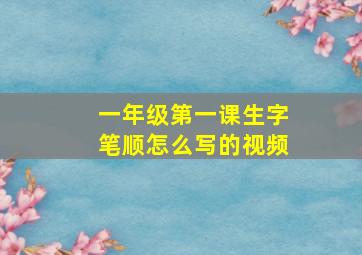 一年级第一课生字笔顺怎么写的视频