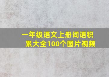 一年级语文上册词语积累大全100个图片视频