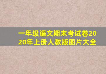 一年级语文期末考试卷2020年上册人教版图片大全