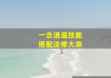 一念逍遥技能搭配法修大乘