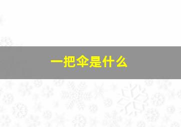 一把伞是什么