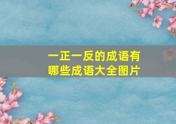 一正一反的成语有哪些成语大全图片