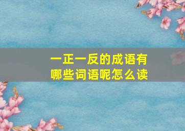 一正一反的成语有哪些词语呢怎么读