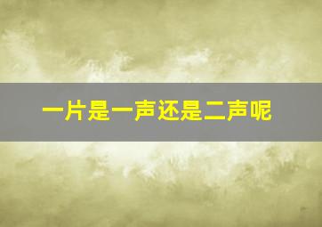 一片是一声还是二声呢