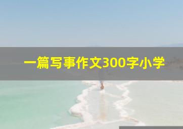 一篇写事作文300字小学