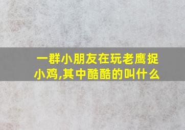 一群小朋友在玩老鹰捉小鸡,其中酷酷的叫什么