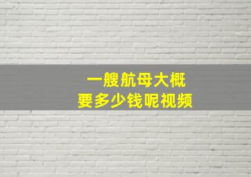 一艘航母大概要多少钱呢视频