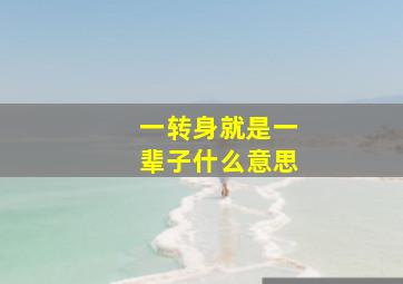 一转身就是一辈子什么意思