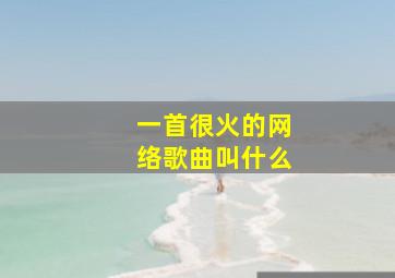 一首很火的网络歌曲叫什么