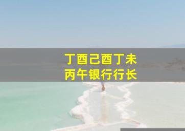 丁酉己酉丁未丙午银行行长