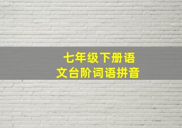 七年级下册语文台阶词语拼音