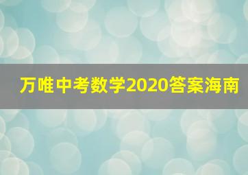 万唯中考数学2020答案海南