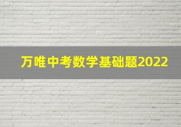 万唯中考数学基础题2022