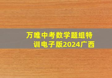 万唯中考数学题组特训电子版2024广西