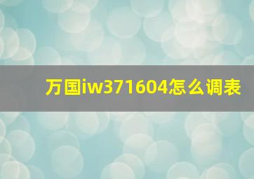 万国iw371604怎么调表