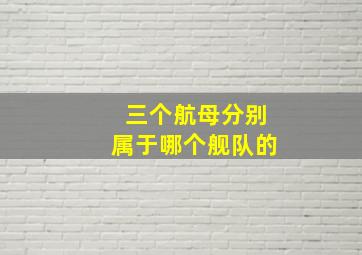 三个航母分别属于哪个舰队的