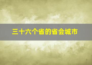 三十六个省的省会城市