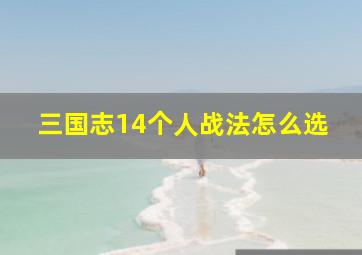 三国志14个人战法怎么选