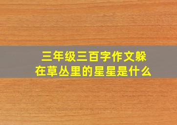 三年级三百字作文躲在草丛里的星星是什么