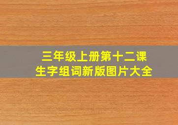 三年级上册第十二课生字组词新版图片大全