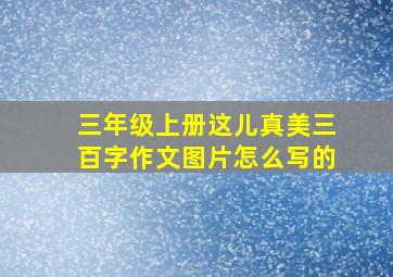 三年级上册这儿真美三百字作文图片怎么写的