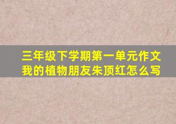 三年级下学期第一单元作文我的植物朋友朱顶红怎么写