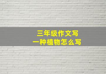 三年级作文写一种植物怎么写