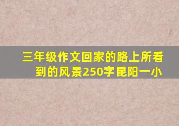 三年级作文回家的路上所看到的风景250字昆阳一小