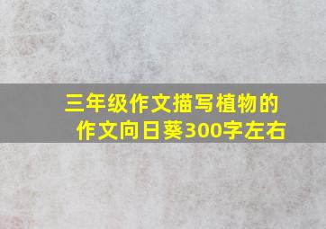 三年级作文描写植物的作文向日葵300字左右