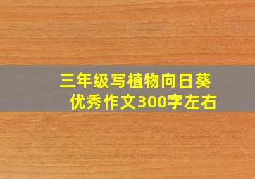 三年级写植物向日葵优秀作文300字左右