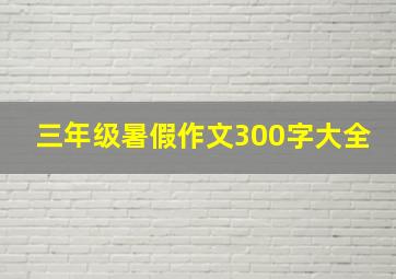 三年级暑假作文300字大全