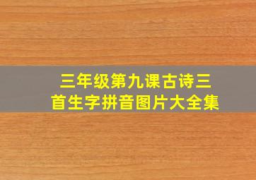 三年级第九课古诗三首生字拼音图片大全集