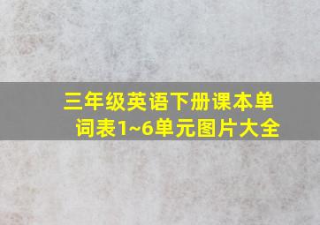 三年级英语下册课本单词表1~6单元图片大全