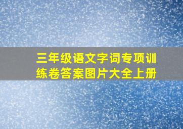 三年级语文字词专项训练卷答案图片大全上册