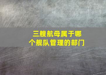 三艘航母属于哪个舰队管理的部门