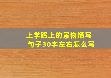 上学路上的景物描写句子30字左右怎么写