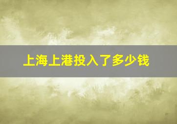 上海上港投入了多少钱