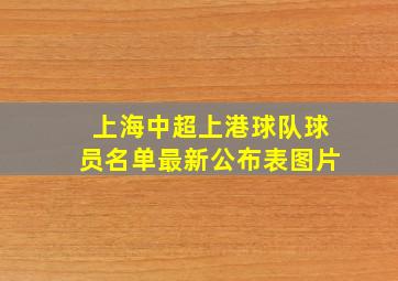 上海中超上港球队球员名单最新公布表图片